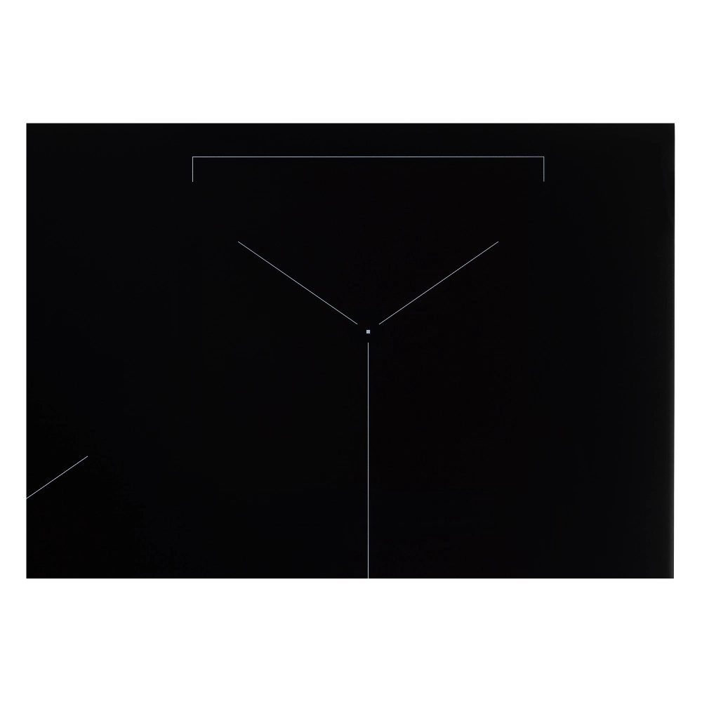 Индукционная варочная панель VARD VHI9552K