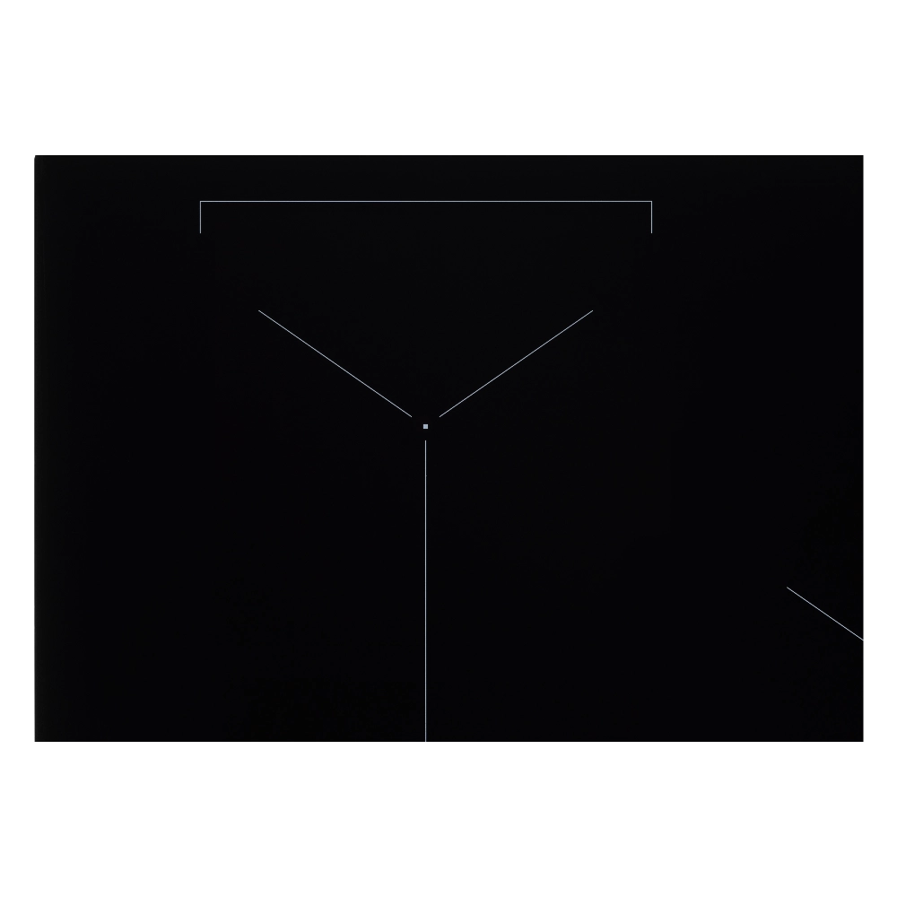 Индукционная варочная панель VARD VHI9552K